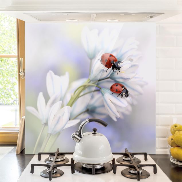 Küche Dekoration Schmetterling und Marienkäfer auf Blüten