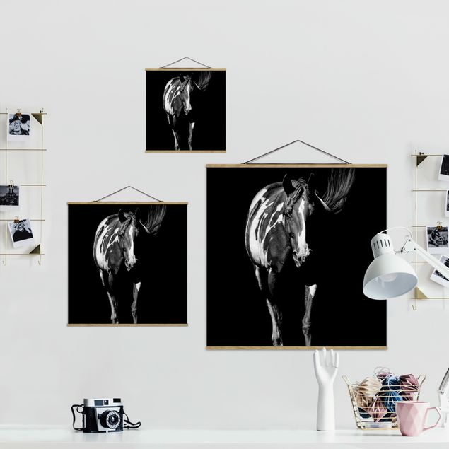 Wandbilder Schwarz-Weiß Pferd vor Schwarz