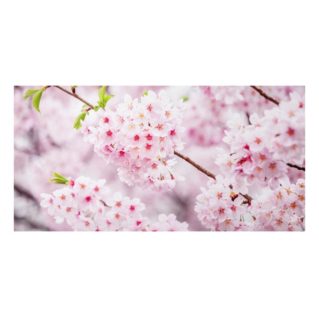 Wanddeko Küche Japanische Kirschblüten