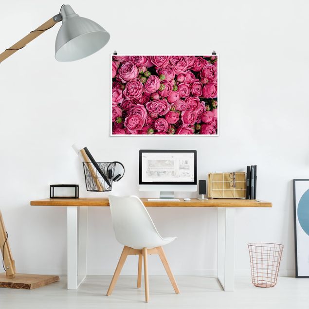 Wandbilder Floral Pinke Pfingstrosen