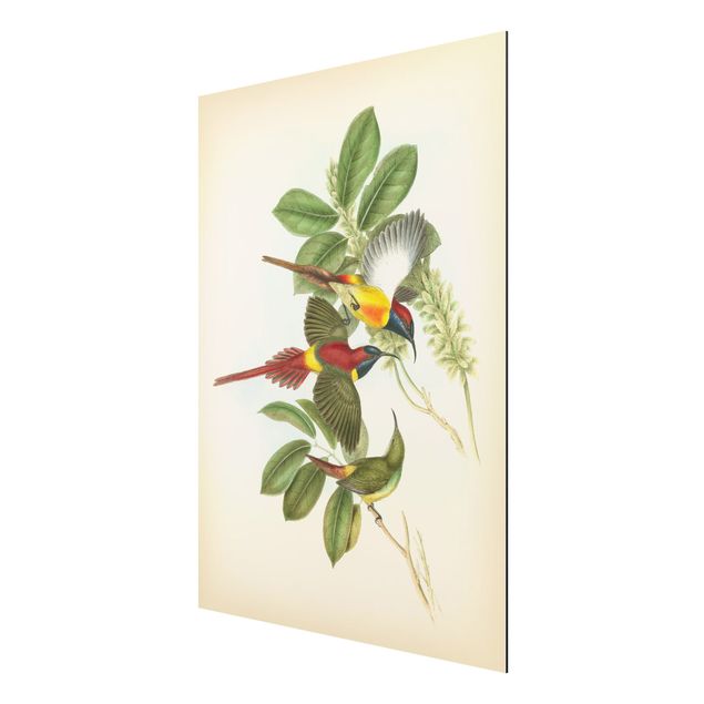 Wandbilder Blumen Vintage Illustration Tropische Vögel III