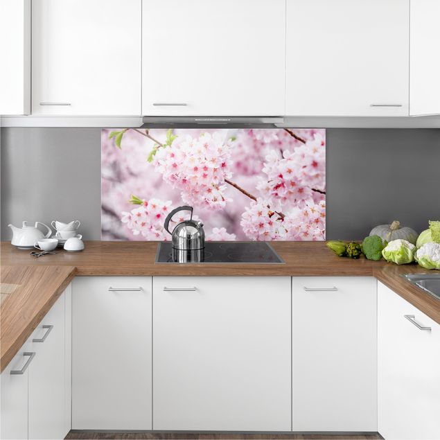 Glasrückwand Küche Blumen Japanische Kirschblüten