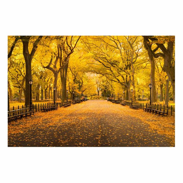 Magnettafel - Herbst im Central Park - Hochformat 3:2