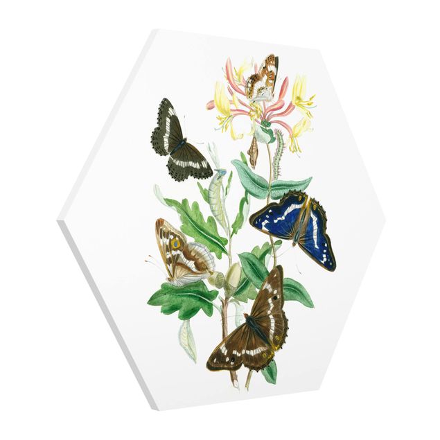 Wandbilder Blumen Britische Schmetterlinge IV