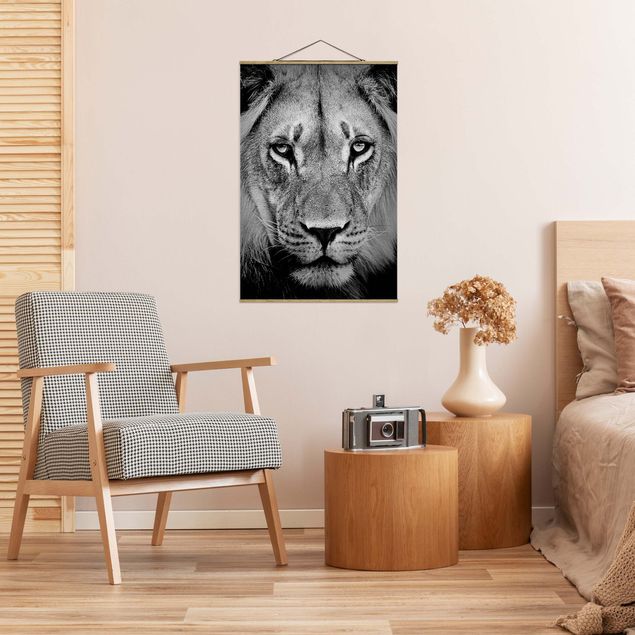 Wandbilder Afrika Alter Löwe