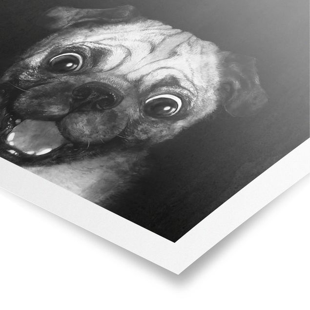 Tiere Poster Illustration Hund Mops Malerei auf Schwarz Weiß