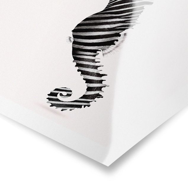 schwarz-weiß Poster Seepferdchen mit Zebrastreifen