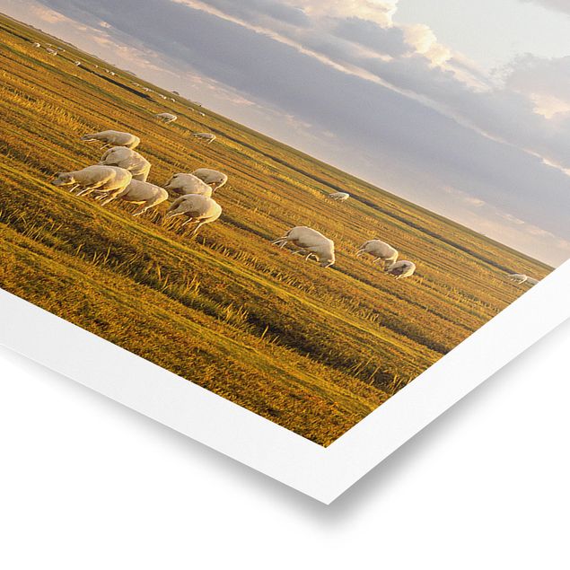 Strand Poster Nordsee Leuchtturm mit Schafsherde