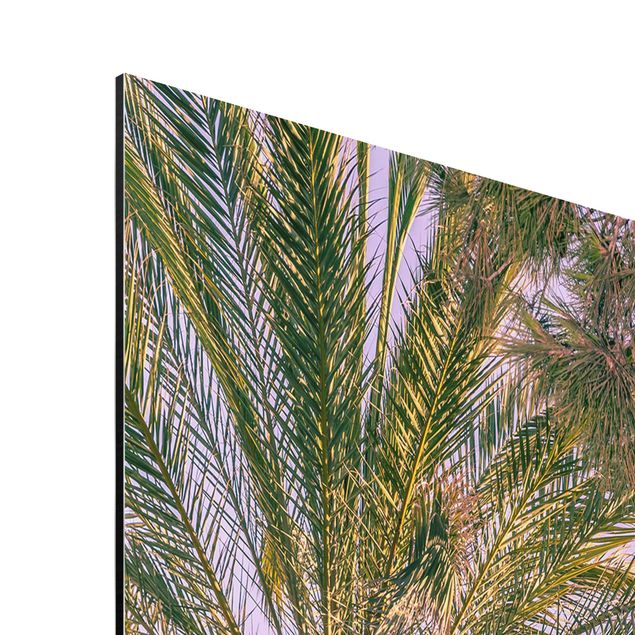 Wandbilder Kunstdrucke Palmen im Sonnenuntergang