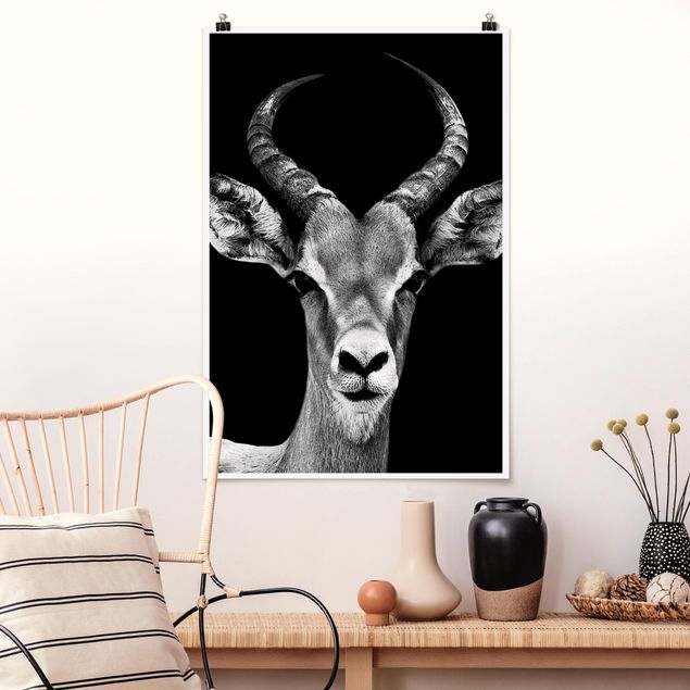 Küche Dekoration Impala Antilope schwarz-weiß