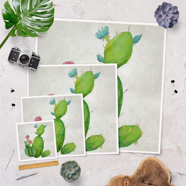 Poster Kaktusfamilie rosa türkis