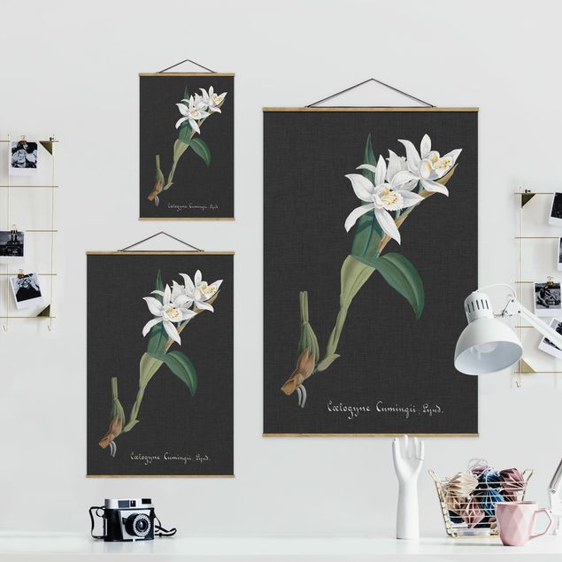 Wandbilder Schwarz Weiße Orchidee auf Leinen II
