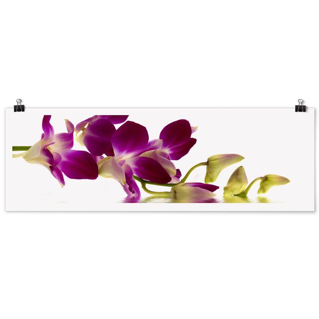 Wandbilder Floral Pink Orchid Waters