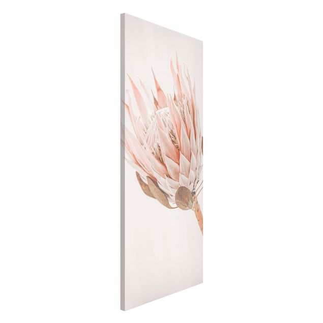Magnettafel - Protea Königin der Blüten - Panorama Hochformat
