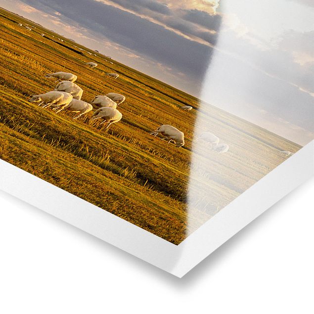 Poster Naturbilder Nordsee Leuchtturm mit Schafsherde