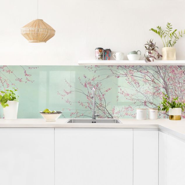 Spritzschutz Küche Glas Kirschblütensehnsucht