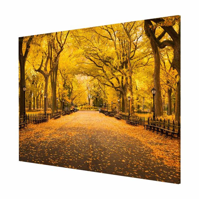 Wandbilder Architektur & Skyline Herbst im Central Park