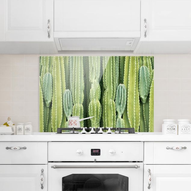 Spritzschutz Blumen Kaktus Wand