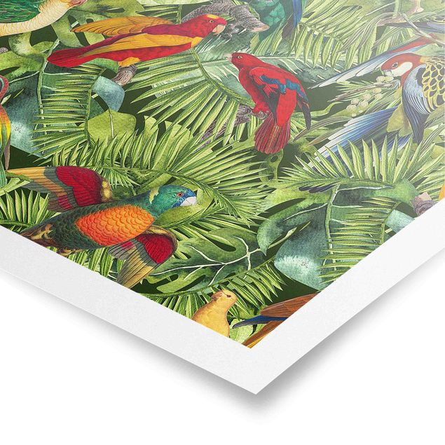 Kunstkopie Poster Bunte Collage - Papageien im Dschungel