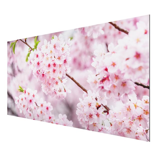 Wandbilder Architektur & Skyline Japanische Kirschblüten