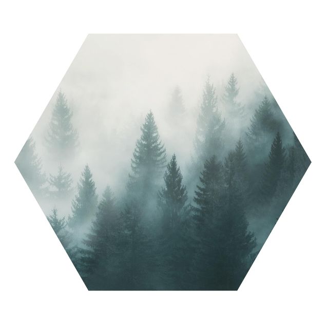 Wandbilder Modern Nadelwald im Nebel