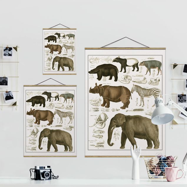 Wandbilder Afrika Vintage Lehrtafel Elefant, Zebra und Nashorn