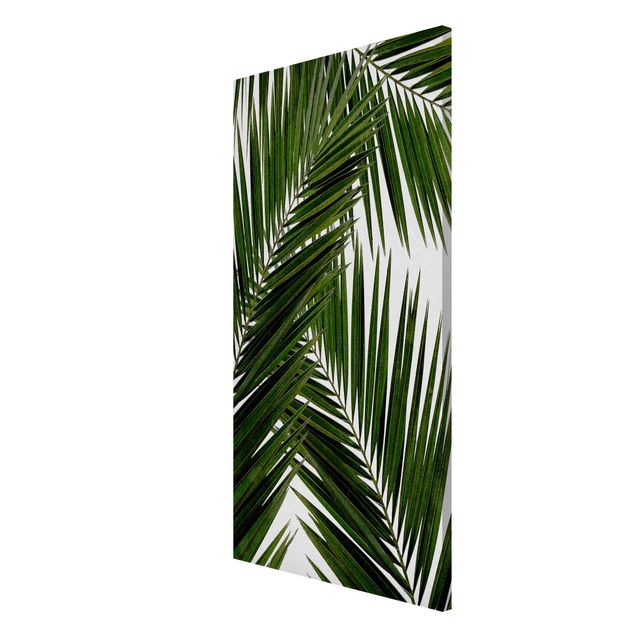 Magnettafel Blume Blick durch grüne Palmenblätter