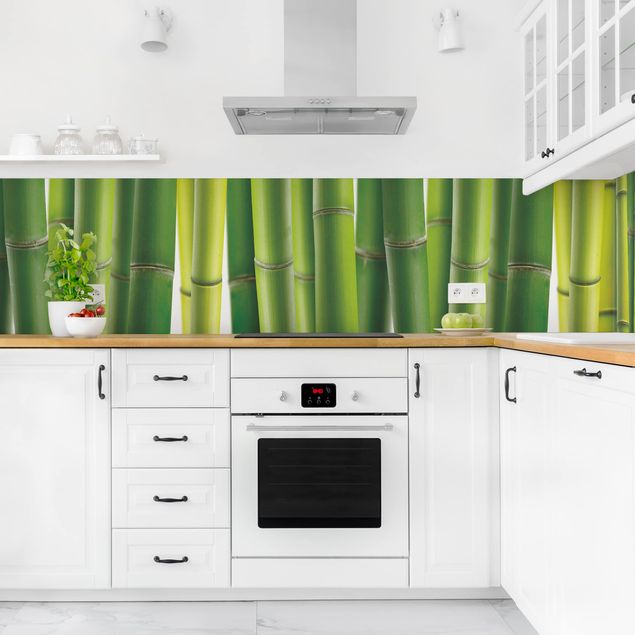Spritzschutz Küche Glas Bambuspflanzen II