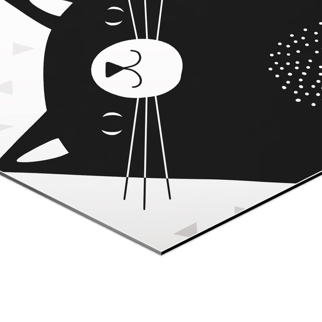 Hexagon Bilder Tierpark mit Mustern - Katze