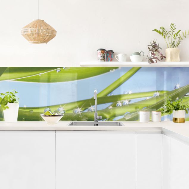 Küchenrückwand Folie Blumen Fresh Green