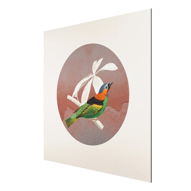 Wandbilder Tiere Vogel Collage im Kreis II