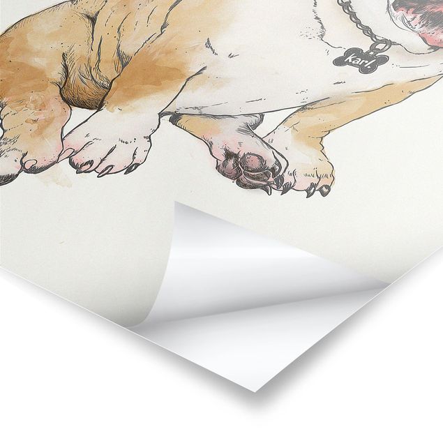 Bilder Illustration Hund Bulldogge Malerei