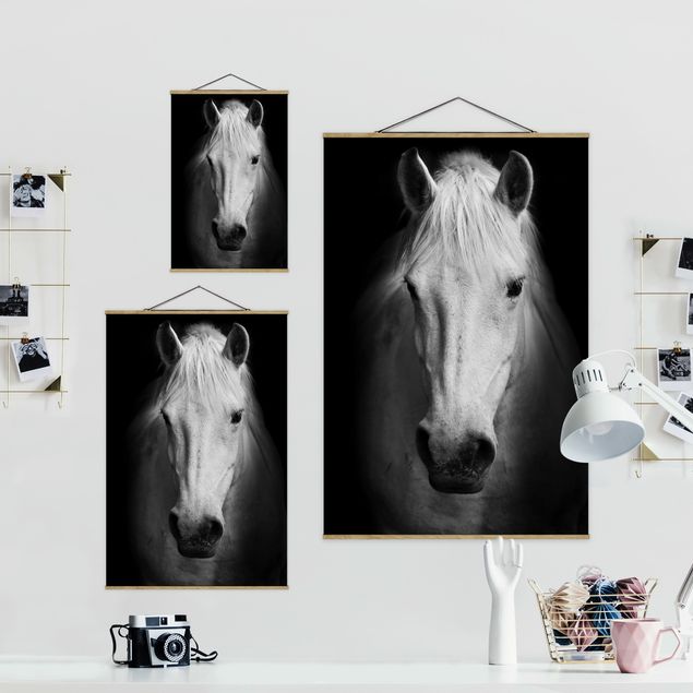 Wandbilder Dream of a Horse