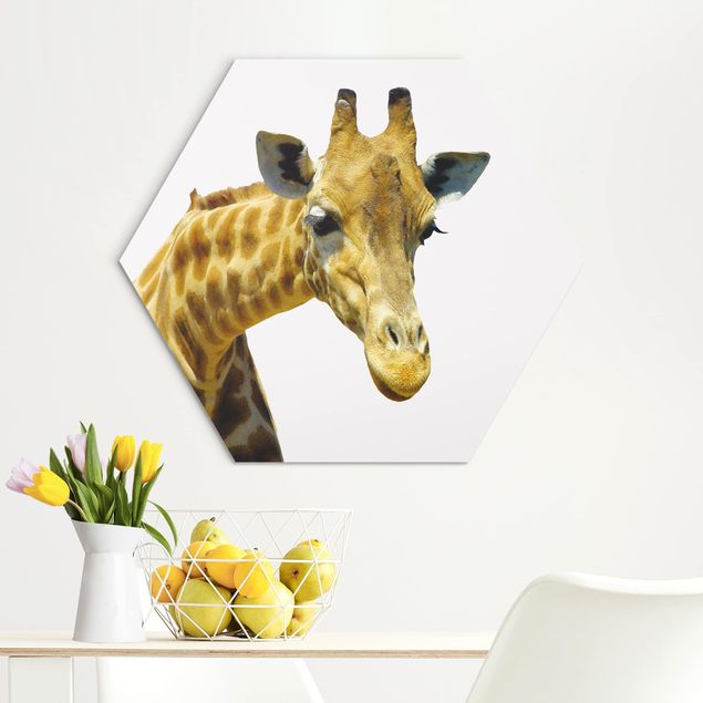 Wandbilder Giraffen No.21 Neugierige Giraffe