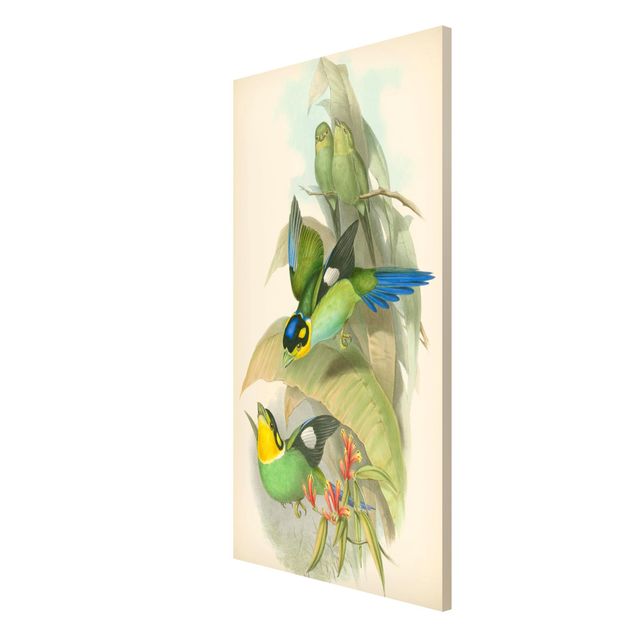 Wandbilder Floral Vintage Illustration Tropische Vögel