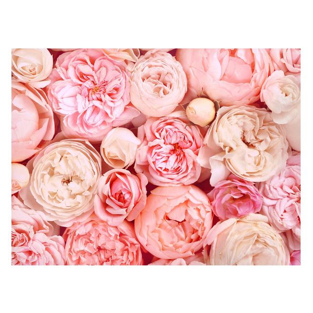 Magnettafeln Blumen Rosen Rosé Koralle Shabby