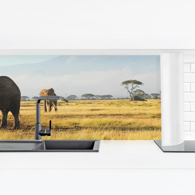 Küchenrückwand Folie selbstklebend Elefanten vor dem Kilimanjaro in Kenya