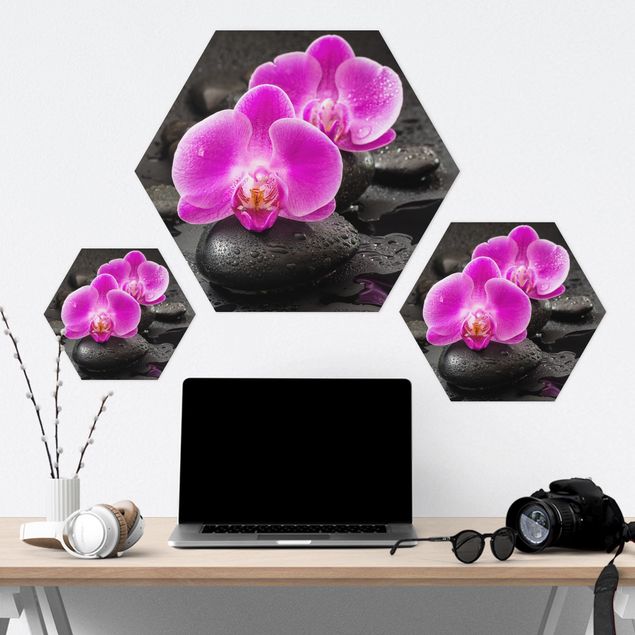Hexagon Bilder Pinke Orchideenblüten auf Steinen mit Tropfen