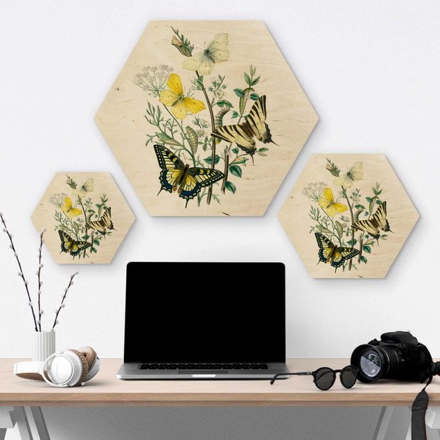 Hexagon Bild Holz - Britische Schmetterlinge III