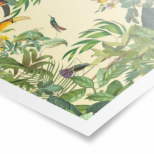 Poster Kunstdruck Vintage Collage - Vögel im Dschungel