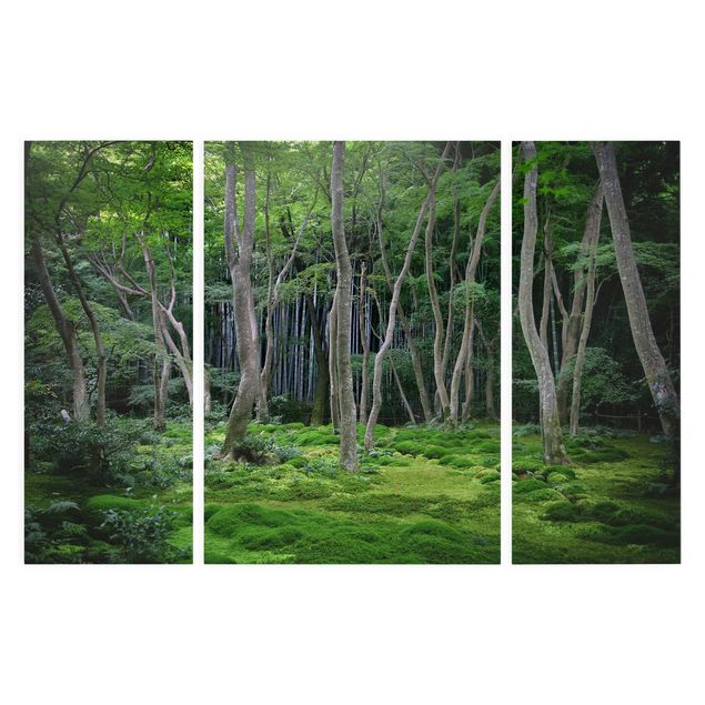 Leinwandbilder Wald Japanischer Wald