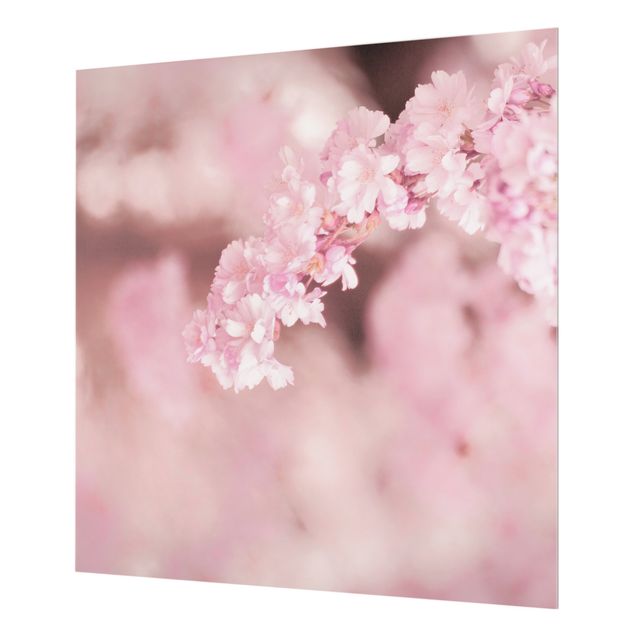 Spritzschutz Glas - Kirschblüte im Violetten Licht - Quadrat 1:1