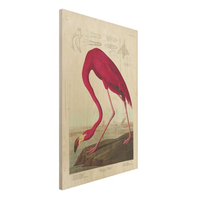 Wanddeko Küche Vintage Lehrtafel Amerikanischer Flamingo