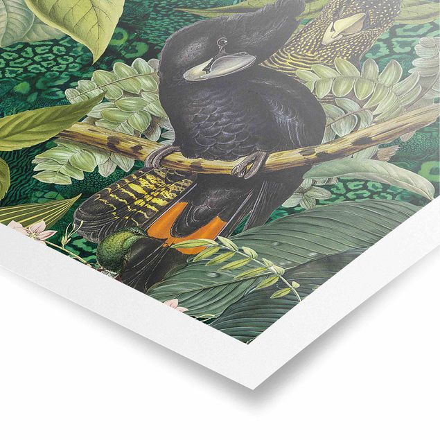 Poster Kunstdruck Bunte Collage - Kakadus im Dschungel