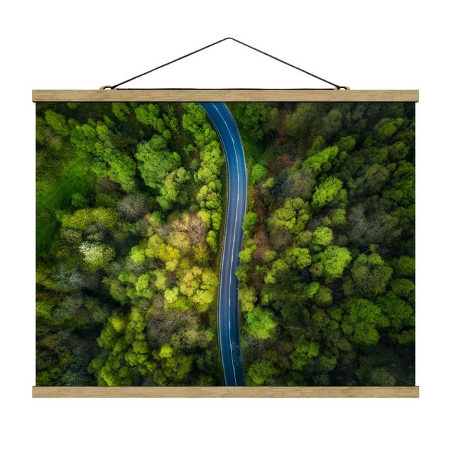 Wandbilder Natur Luftbild - Asphaltstraße im Wald