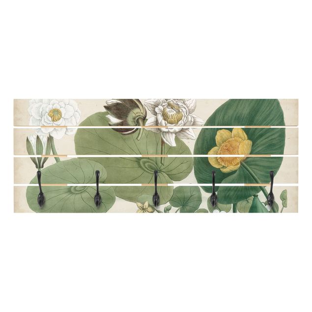 Wandgarderoben Grün Vintage Illustration Weiße Wasserlilie