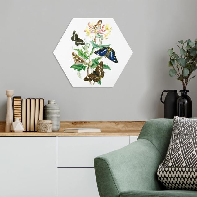 Wandbilder Floral Britische Schmetterlinge IV