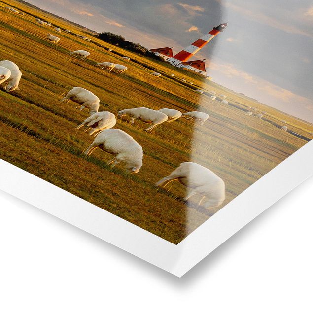Poster Strand Nordsee Leuchtturm mit Schafsherde