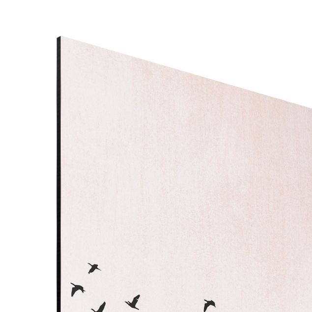 Wandbilder Modern Vogelschwarm im Sonnenuntergang