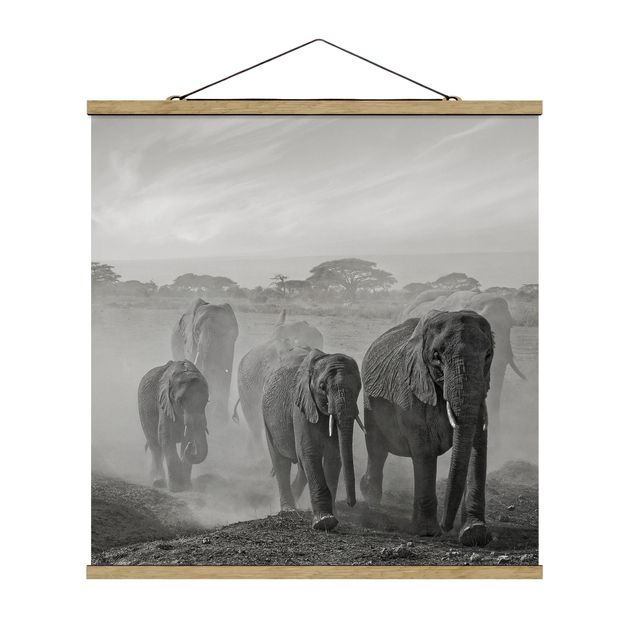 Wandbilder Natur Elefantenherde